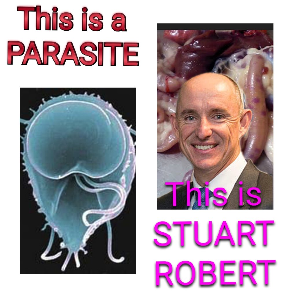 Bazzio101's tweet image. #auspol
#ausFRAUD
#LNPCorruption