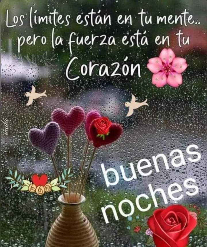 Buenas noches mis corazones dulces sueños y un bello despertar para todos