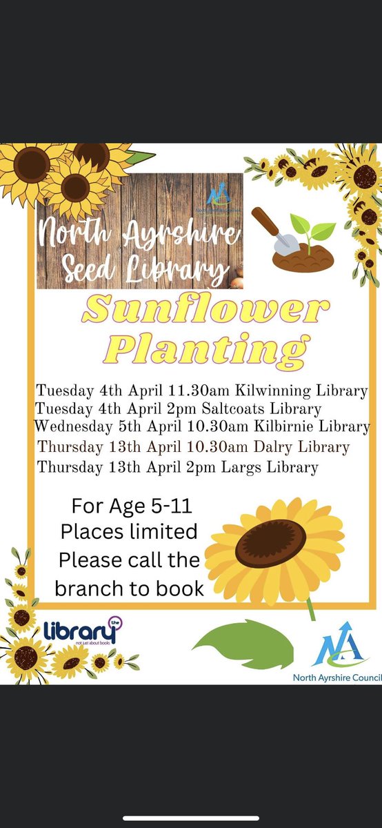 lesley forsyth tweet media