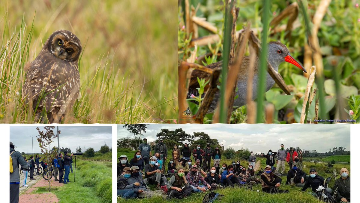 La destrucción del humedal jaboque con el argumento de  “Adecuación hidrogeomorfológica río Bogotá”. Ha sido un desastre ecológico para las aves, mamíferos y la biota natural presente en este ecosistema.
Una ayuda  <a href="/MONYRODRIGUEZOF/">MÓNICA RODRÍGUEZ 🐤</a>  
<a href="/DanielSamperO/">Daniel Samper Ospina</a>  
 para difundir este desastre