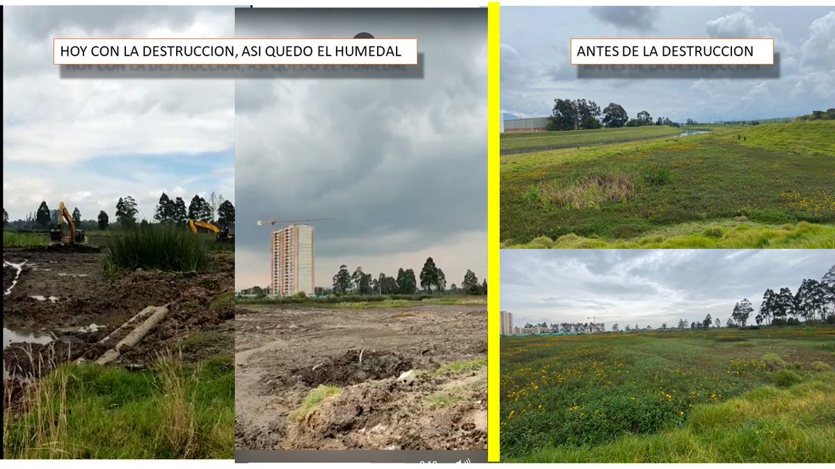 oswaldoaves's tweet photo. La destrucción del humedal jaboque con el argumento de  “Adecuación hidrogeomorfológica río Bogotá”. Ha sido un desastre ecológico para las aves, mamíferos y la biota natural presente en este ecosistema.
Una ayuda  @MONYRODRIGUEZOF  
@DanielSamperO  
 para difundir este desastre https://t.co/BQ2z81Buq3