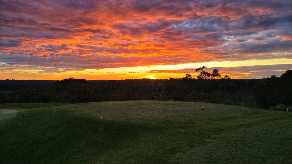 Mornings at the Royal #sunrise #teetime #golfsydney #sydneygolf #publicgolf #ゴルフ #morninggolf #kuringgai #golf #sunrisegolf #elitegolfnsw #golflife #golfers