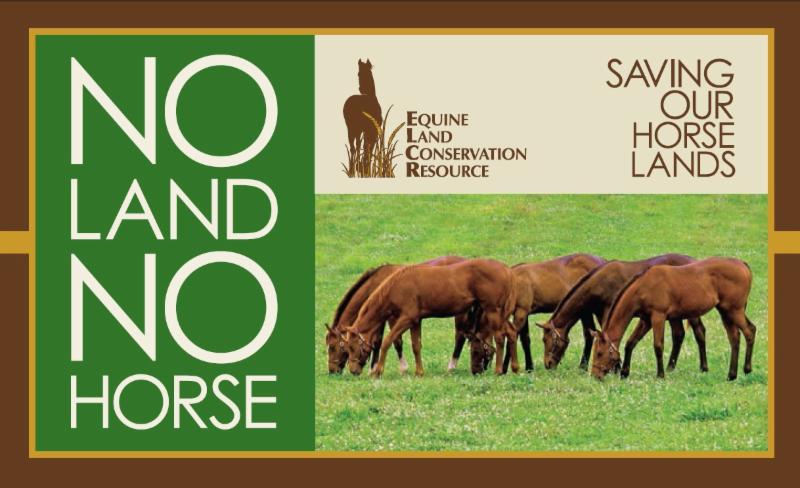SaveHorseLand's tweet photo. March 2023 E-Newsletter available now!
https://t.co/U8BuMTlSLq https://t.co/my8quvFmRN