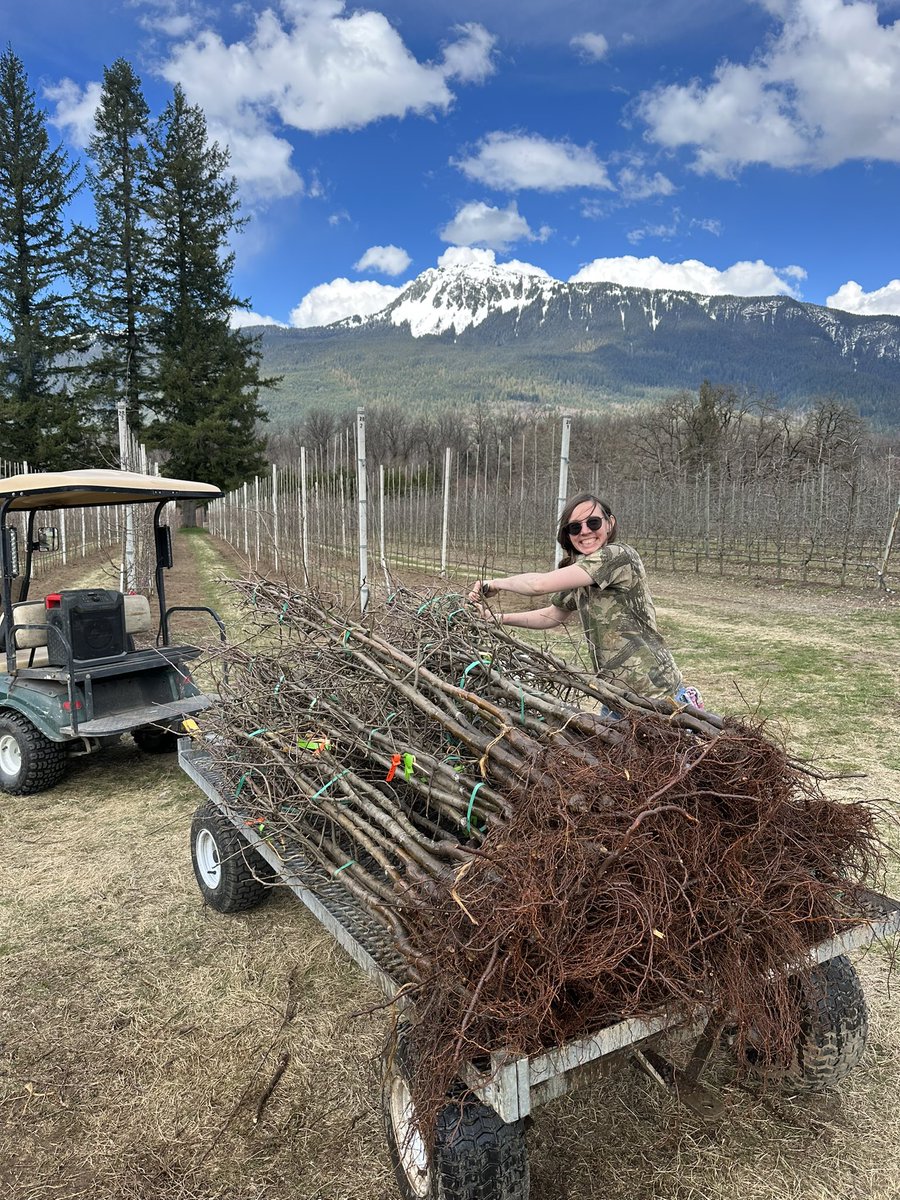 farmerberger's tweet photo. Planting a lot of Evercrisp on G.41 this year. First day of planting done 💪 https://t.co/4yjc6jEXbS