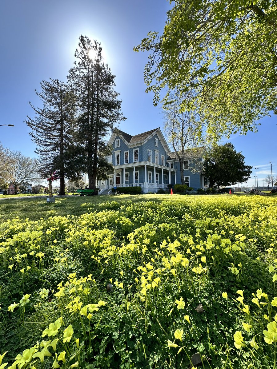 Bouncing around the West Oakland neighborhood to capture some visuals for a client project- sooo gorgeous today!