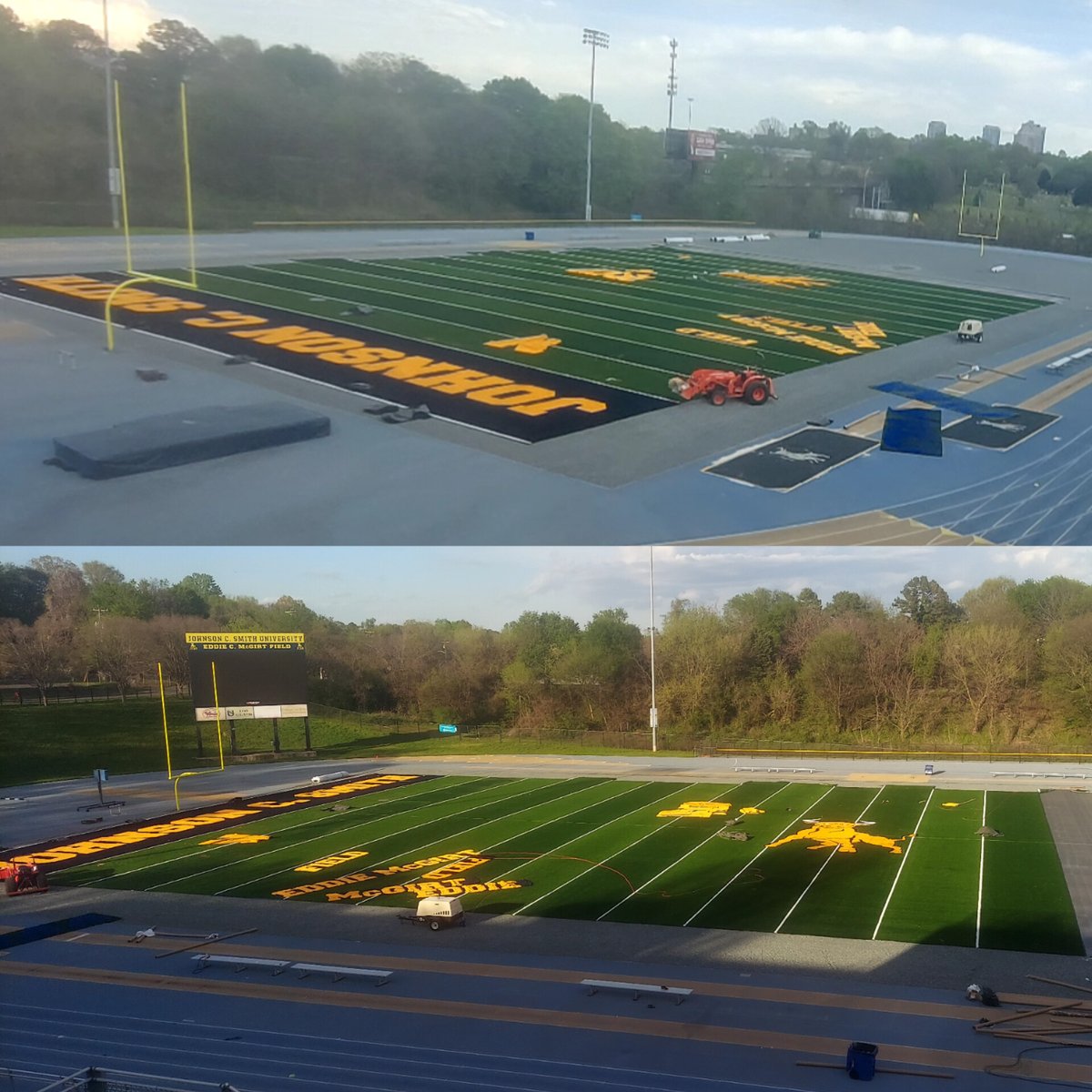 Golden Bulls tweet media