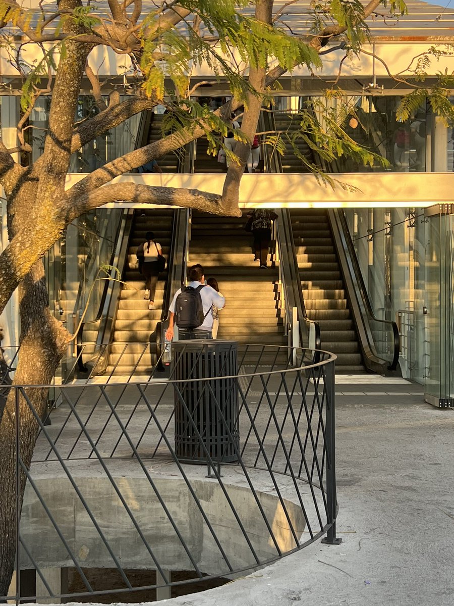 Diegovalencia's tweet photo. Cuanto dura el mantenimiento? Un mes y las escaleras eléctricas ni sus Luces de que vayan a funcionar plaza patria y centro guadalajara  @SITEURJAL  @GobiernoJalisco @PabloLemusN https://t.co/Qqkghx46ZZ
