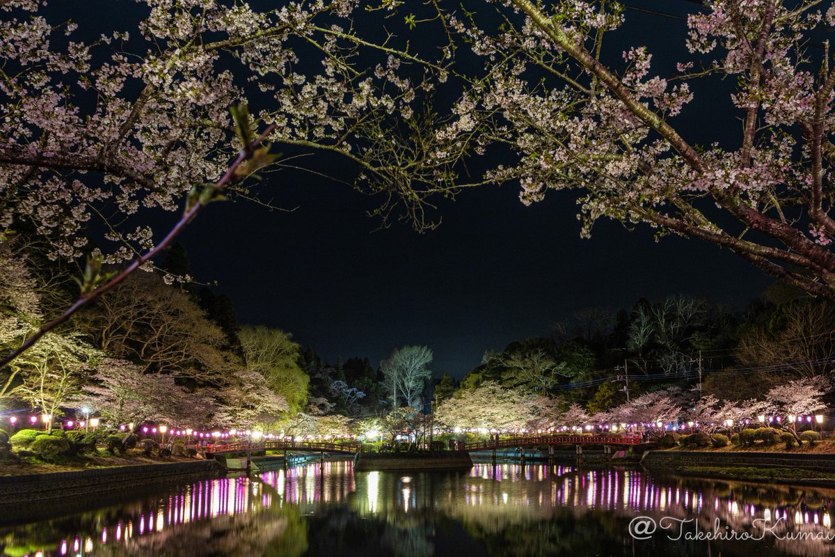 takehirokumai's tweet photo. 艶やかに輝く
#夜桜
#桜
#cherylblossom
#ソメイヨシノ
#染井吉野
#someiyoshino
#茂原市
#茂原公園
#mobaracity
#japan
#chiba
#chibatrip
#カメラ好きと繋がりたい
#キリトリセカイ
#canonphotography
#eosrp
#キヤノン党で褒めあいたい https://t.co/j8UpzwOaLz