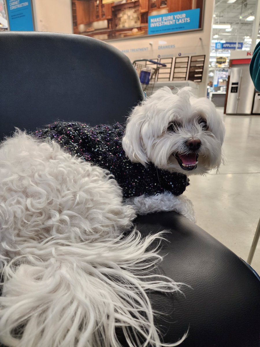 Lowes2268's tweet photo. Welcome to Lowes Tiffany! Helping make all the final decisions on our quote to close in Cabinets with her owner Tim!#loweslovesdogs, #loweslife, #specialty, #kitchencabinets https://t.co/ZZugCsGw7n