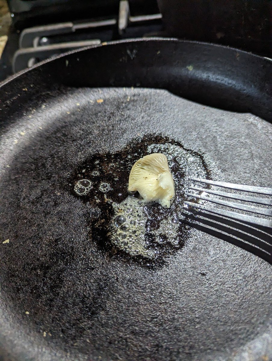 Logan Ward tweet media