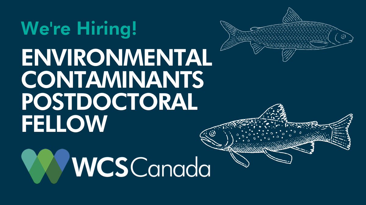 🐟 We are seeking highly qualified candidates for a #PostdoctoralFellowship to support the Ontario Northern Boreal Program, serving as an expert on environmental #contaminants in fish that are part of subsistence #fisheries. #postdocjobs

Apply by April 14 bit.ly/3ZmZFJw