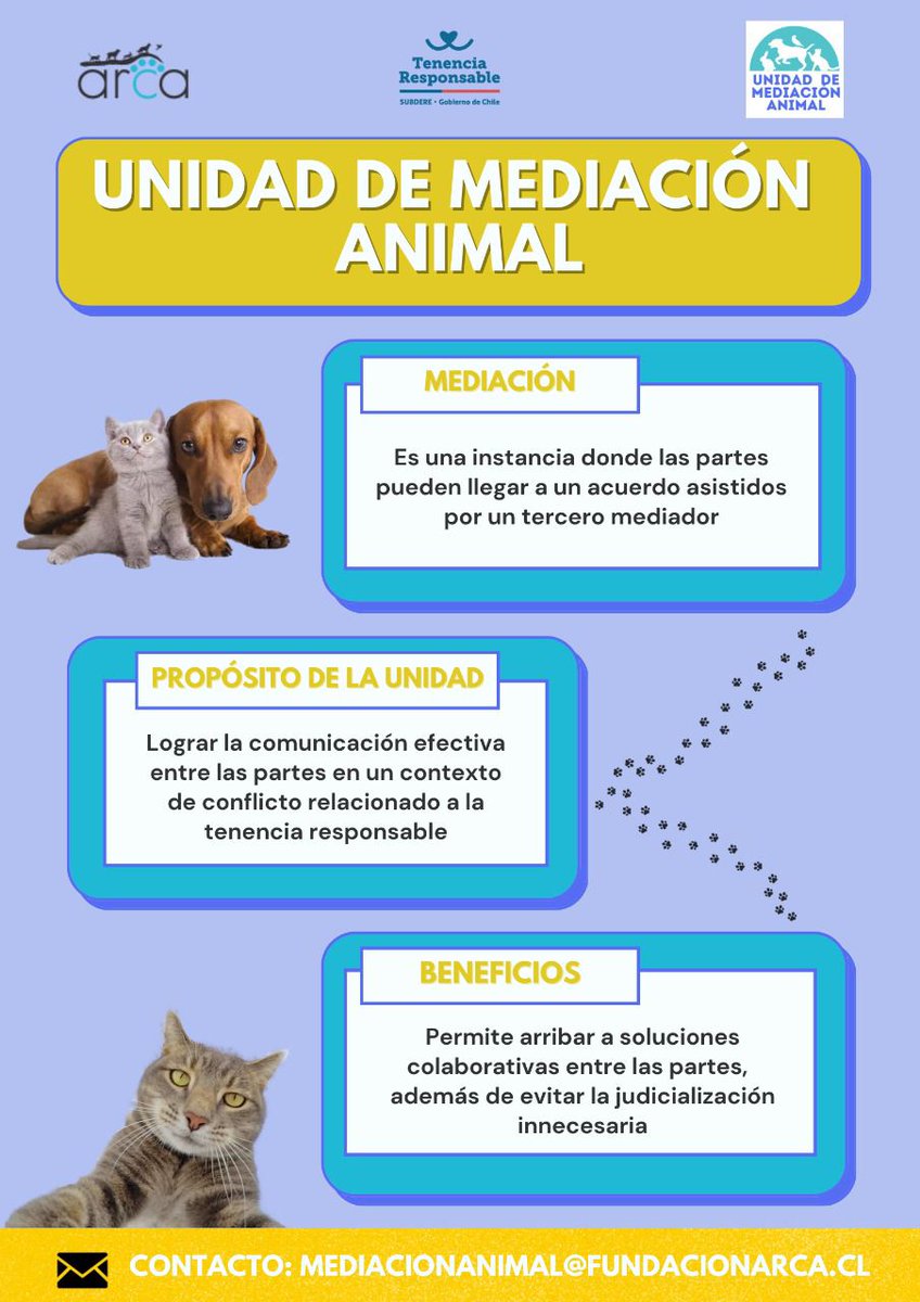 Fundacion Arca Chile tweet media