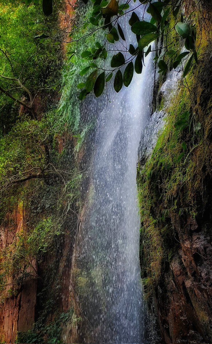 JerishJeri's tweet photo. Does Nature Heals Pain 💔
#pain
#healing
#love
#nature https://t.co/0JfptIDitm
