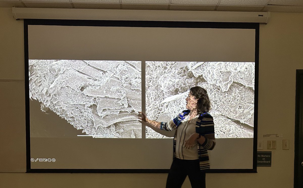 Lina Aragón tweet media