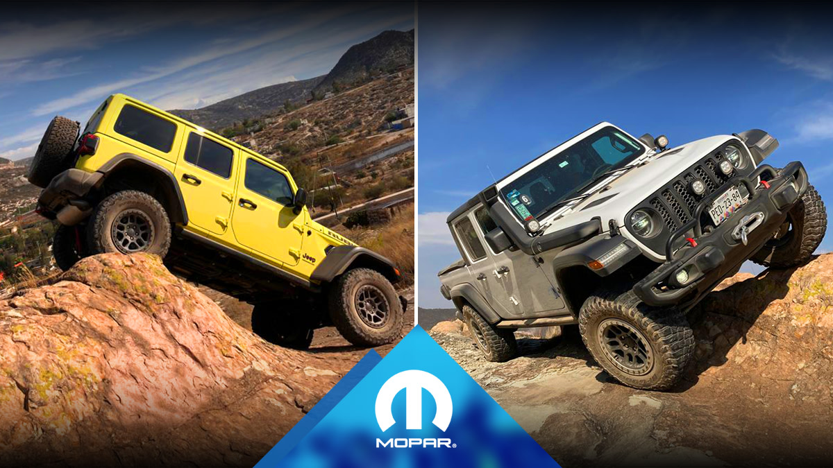 MoparMexico's tweet photo. Las #MujeresMopar desafiaron los límites y vivieron una experiencia #offroad con los #AccesoriosOriginalesMopar, demostrando la #PasionMopar que llevan dentro. #Mujer4x4 #Offroadseason #Moparizate
#RutaMujeres #StellantisMX85Aniversario https://t.co/r3l53sqkGr