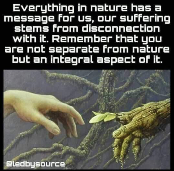 PayItFo72555724's tweet image. #innature #nature #message #suffering #disconnection #partofnature #ledbysource 
#payitforward
