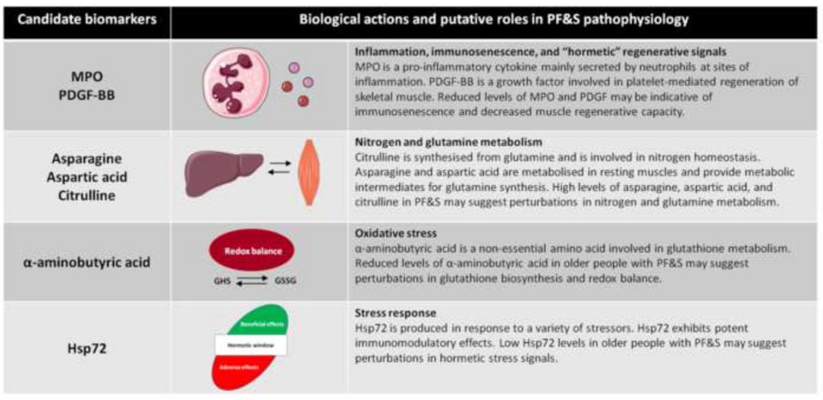 GeroScienceAGE's tweet photo. 📢Recommended Reading📖on potential biomarkers for #physicalfrailty and #sarcopenia⤵
Identification of #biomarkers for physical frailty and sarcopenia through a new multi-marker approach: results from the #BIOSPHEREstudy.
https://t.co/MyphZb2hQ1
@Unicatt @Unicatt https://t.co/N8jLURhrZv