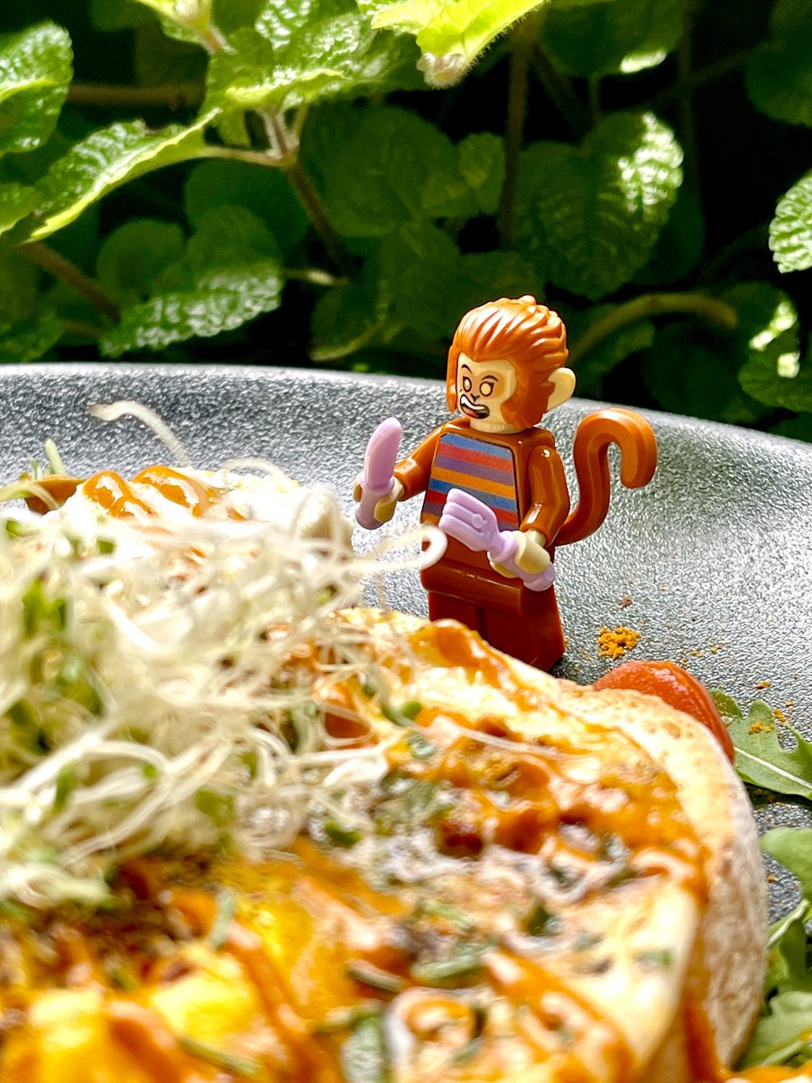 JimmyMonkeyCafe's tweet photo. 🍳 𝗝𝗶𝗺𝗺𝘆 𝗴𝗼𝗲𝘀 𝗺𝗼𝗻𝗸𝗲𝘆𝗶𝗻𝗴 𝗮𝗿𝗼𝘂𝗻𝗱 at PLQ Parkside

“Eek-eek-eexotic 𝐓𝐮𝐫𝐤𝐢𝐬𝐡 𝐄𝐠𝐠𝐬! Right up my alley!”

#jimmymonkey #foodie #lego #legostagram #legophotography #afol #minifigure #minifigurephotography #sandwich #brekkie #eggs #turkisheggs #exotic https://t.co/obqHKAuYnk