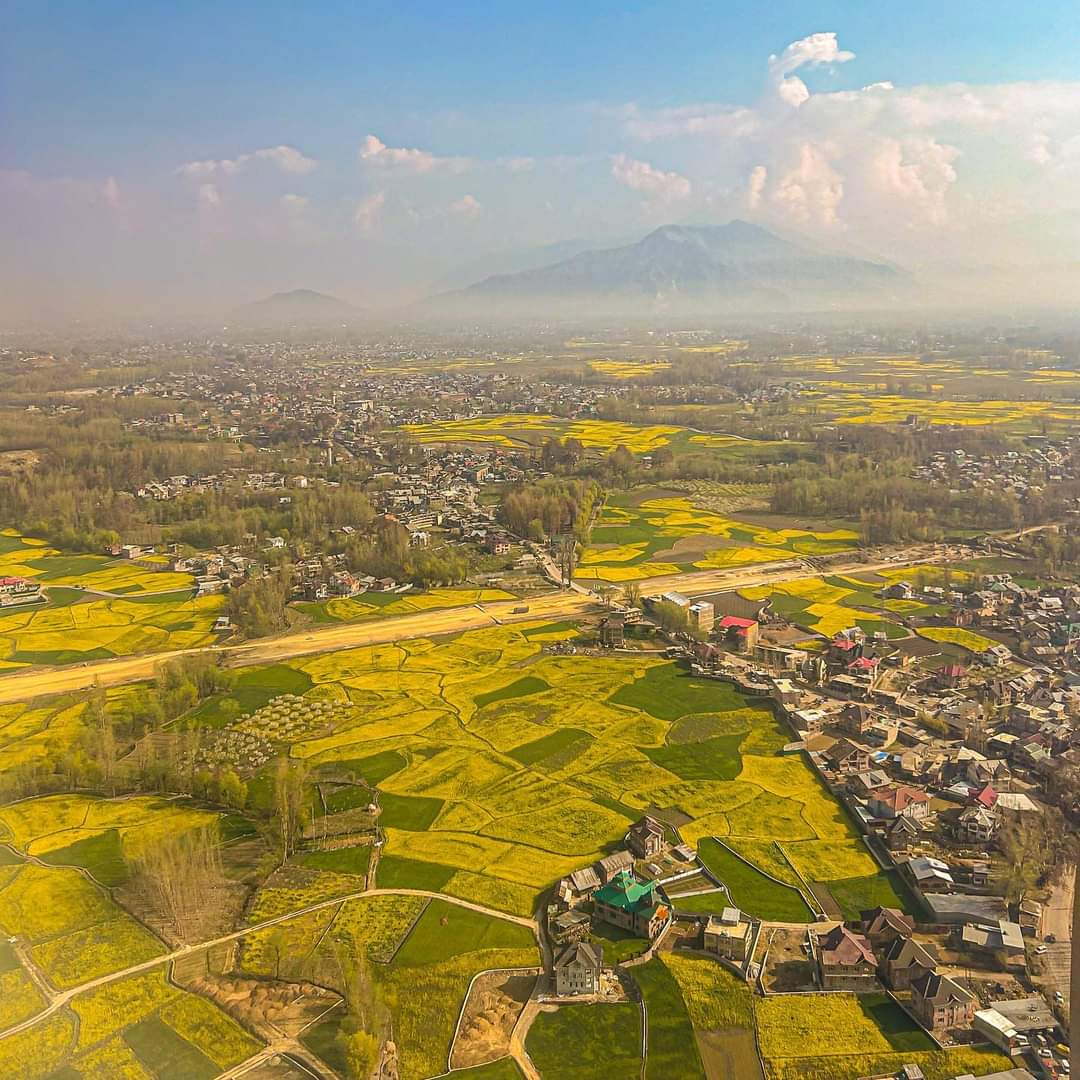 LoluJunaid's tweet photo. Nature's golden blanket: Mustard flowers adorn the foothills of majestic mountains, creating a stunning vista that captures the essence of spring.
#musterd #mountains #instapost #foothills #majestic #earthpics #Anantnag https://t.co/6GkEjDRg68