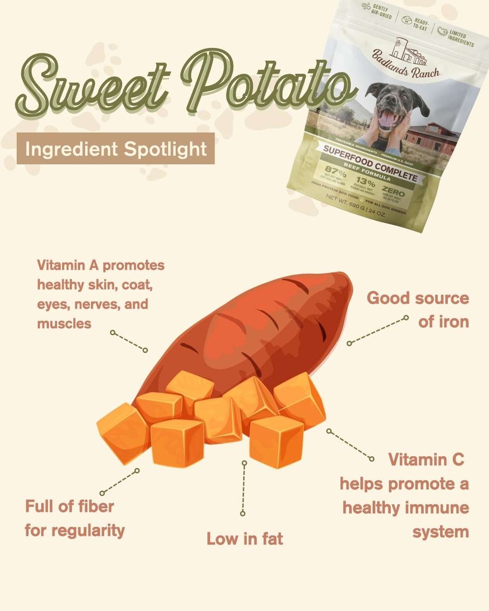 When it comes to your dog's health, every ingredient counts! That's why #sweetpotatoes are a must in our Superfood Complete formula. Shop Superfood Complete: bit.ly/38dpO98