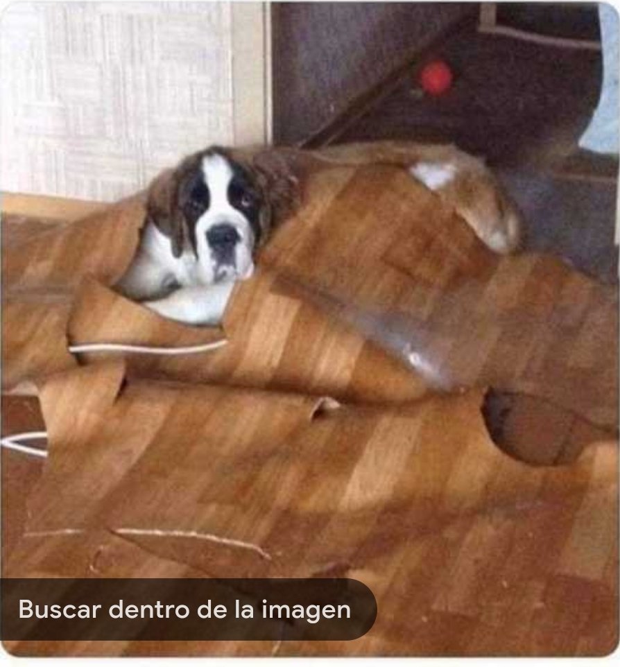 mirkoco_cx's tweet photo. @realroberttson @lapolarchile When @lapolarchile te tiene durmiendo en el suelo y te da frio https://t.co/esiYr7hjSq