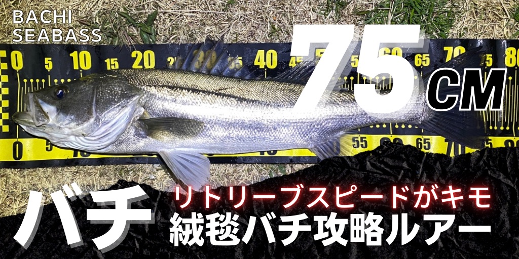 turishiro's tweet photo. 新しい記事をリリース (河川バチ抜けピーク到来！絨毯状態でシーバスを振り向かせる意外な方法とは？) on つりしろ - https://t.co/IgJlQITxPN https://t.co/fZ8GtH7C5K