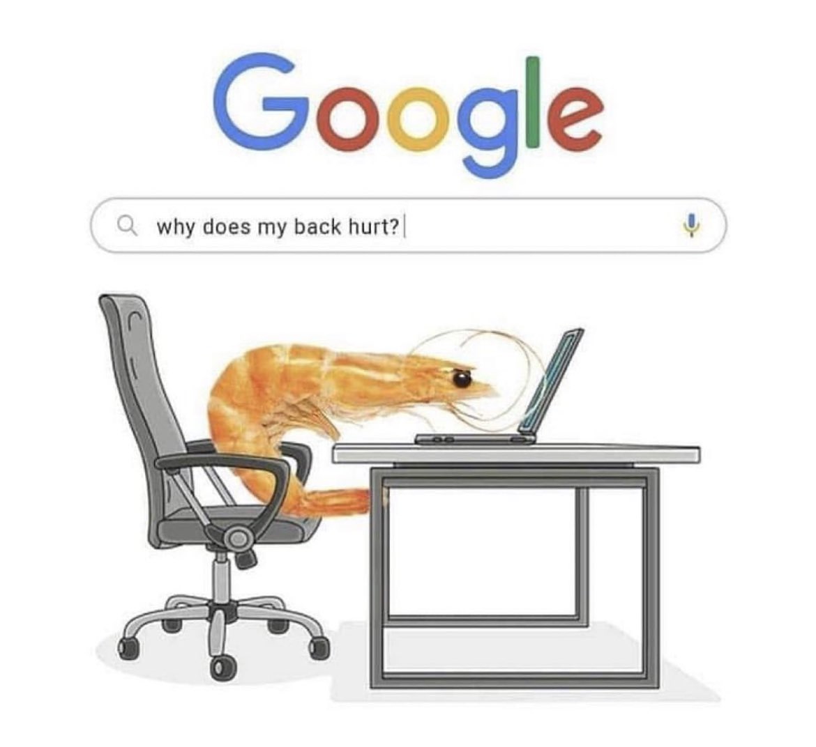 memes.xlsx tweet media
