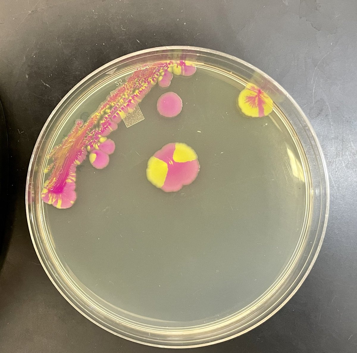 Mark O. Martin tweet media