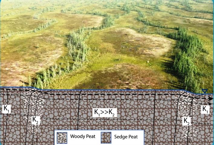 Researchers at Scotty Creek and other northern sites publish a new book: "Groundwater in Peat and Peatlands": gw-project.org/books/groundwa…    
#wetlands #groundwater #boreal #climatechange