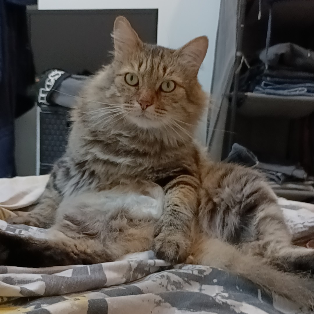 #NouvellePhotoDeProfil