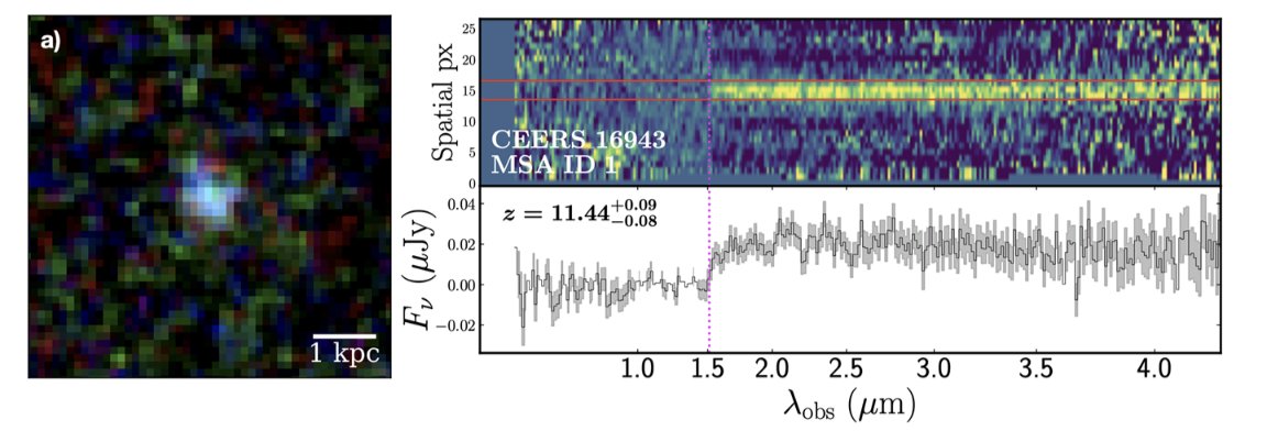 Callum Donnan tweet media