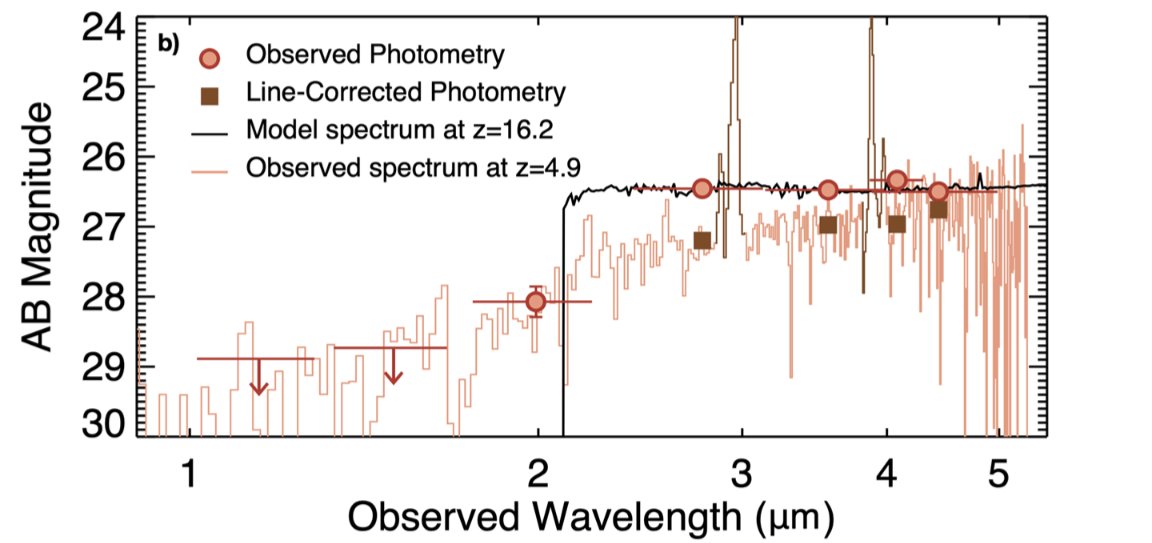Callum Donnan tweet media