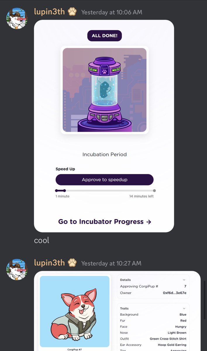 Approving Corgis 🐶🐾 tweet media