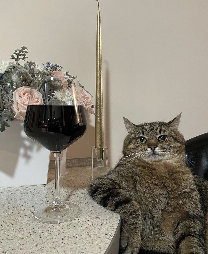 Me staring at the screen with no audio #TheBachelor