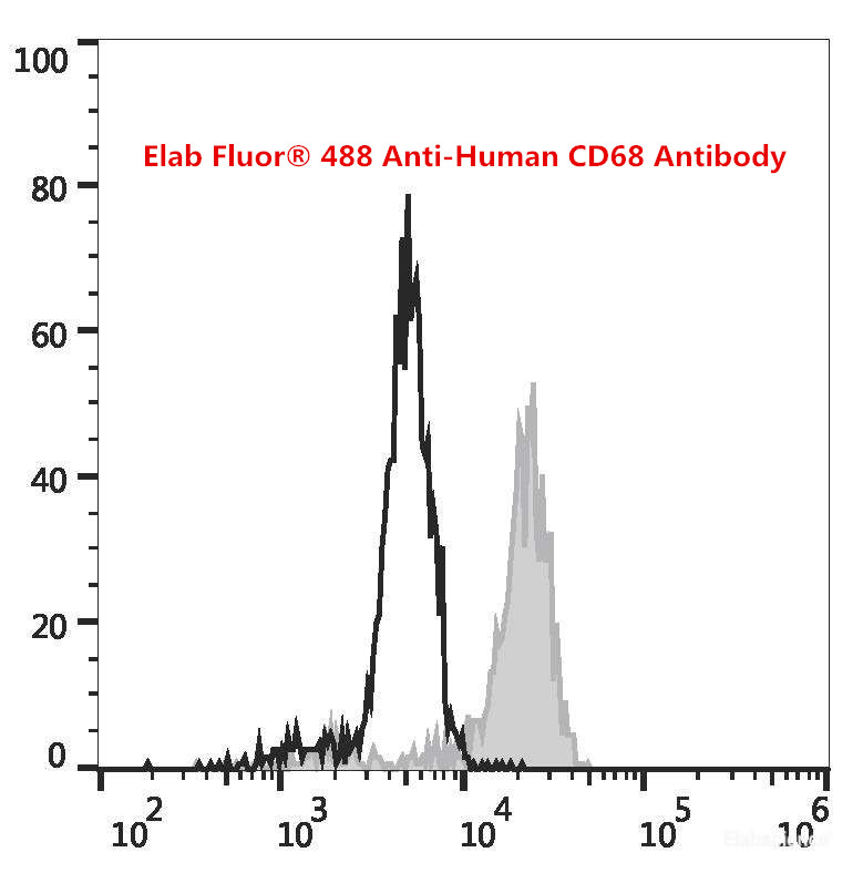 Elabscience_bio's tweet photo. Elab Fluor® 488 Anti-Human #CD68 #Antibody
Applications: #ICFCM
Isotype: Mouse IgG2b, κ
Host: Mouse
Clone No.:Y1/82A
More product details check here: https://t.co/461jxZnNTx https://t.co/7fw9fwkAyC