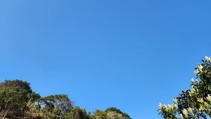 はれ☀雲ない空青が綺麗です #いまそら  #イマソラ  #天気 