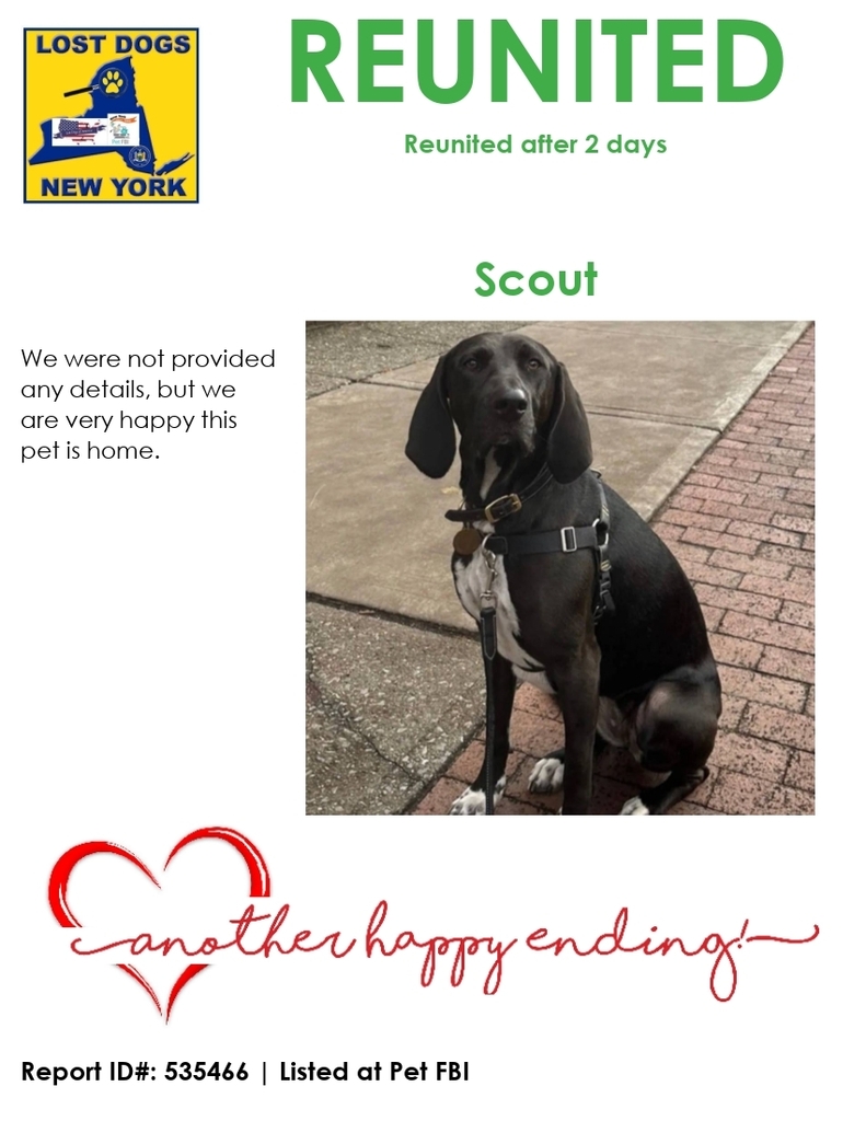#Scout was #reunited

Location: #Rye, #WestchesterCounty