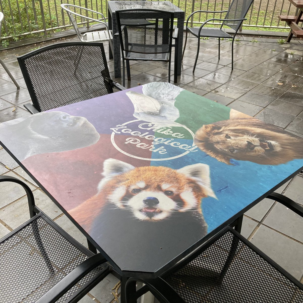 chibazoo1985's tweet image. 皆様からお声頂いていた
「#森のレストラン 」テラステーブルデザイングッズ
第一弾❣️仕上がりました～✨✨😊

テーブルと同じ2種類をご用意。
う～ん🐆🦍🌸🌸
とてもシックで、どちらも欲しくなるかも～🥰

ぜひぜひお手にとってご覧くださいませ～

#千葉市動物公園
#オリジナル
#ハンカチ