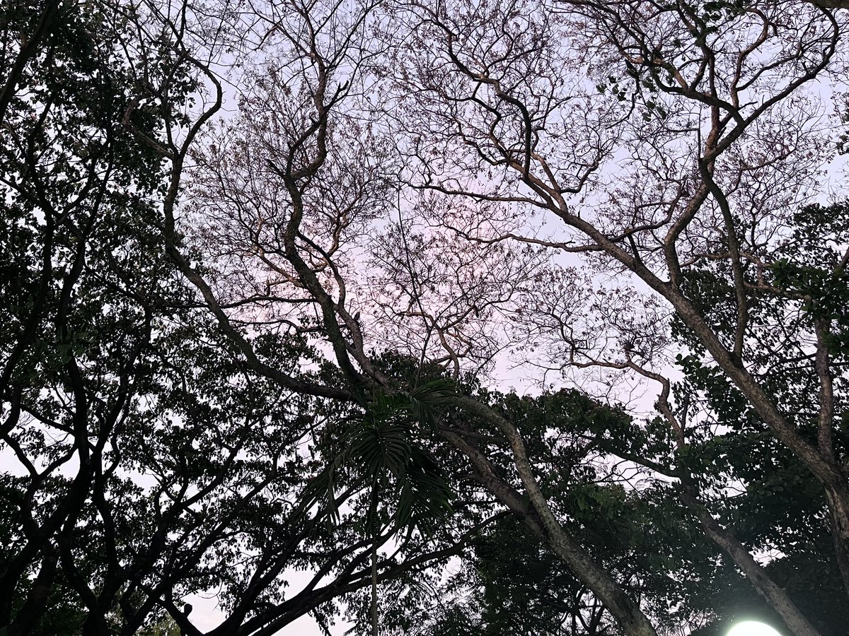 PrakashLab's tweet image. First visit to NCBS campus after coming here as a workshop participant 23 years ago @NCBStheory - this is the place that brought the seed of biological thinking to my door step as an undergrad. Incredible place to think big  #IBS2023