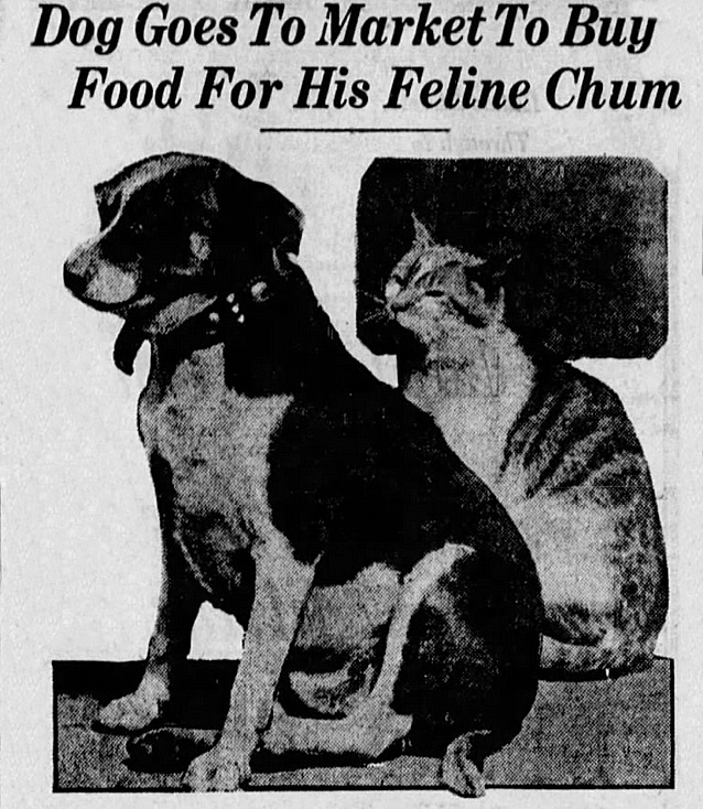 The Evening Sun, Baltimore, Maryland, April 10, 1923