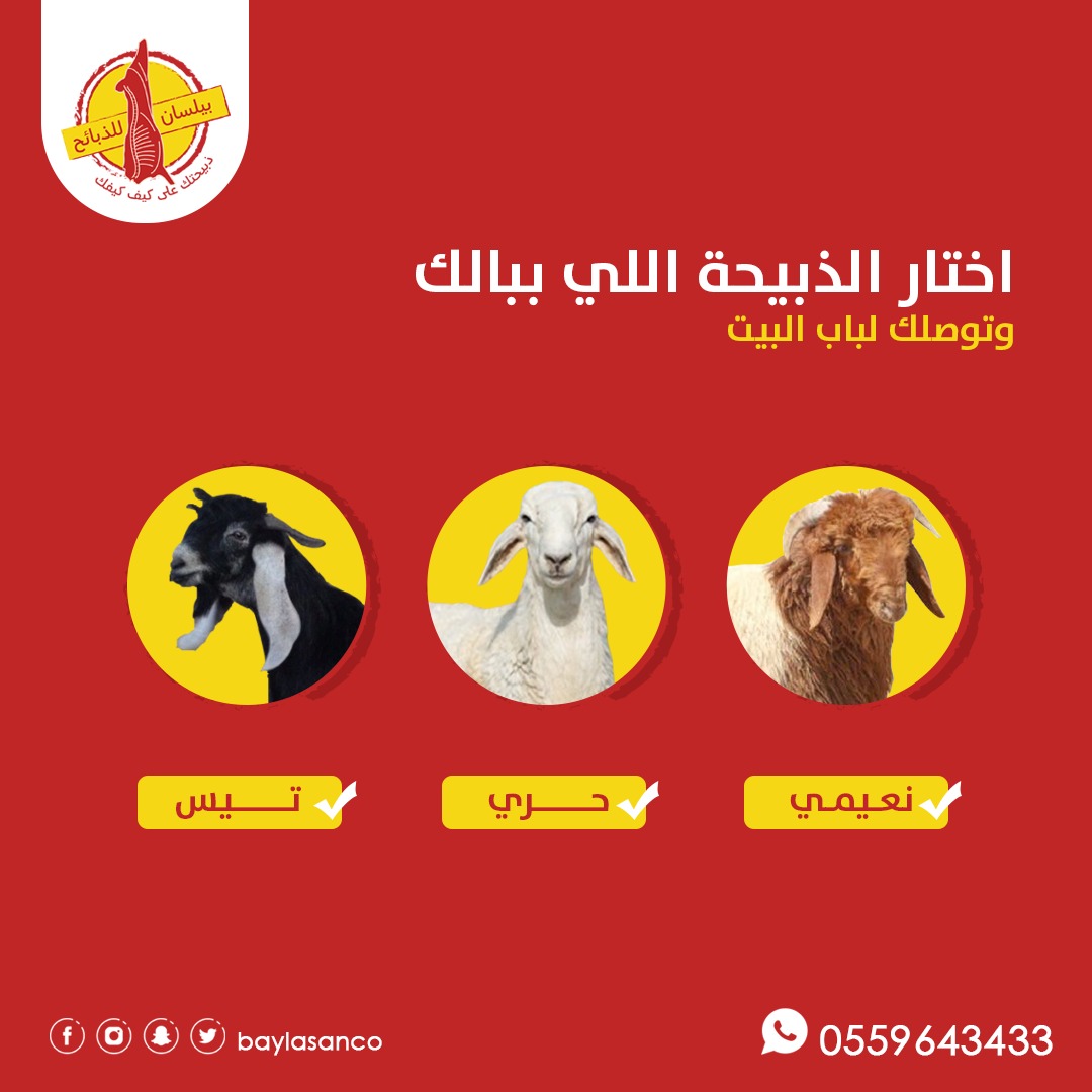 بيلسان للذبائح tweet media
