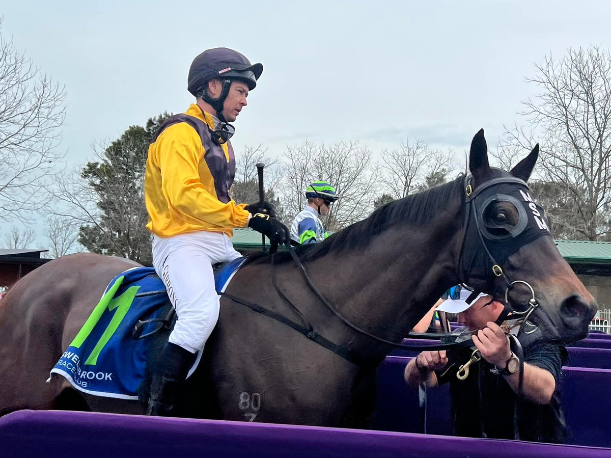 minerviniracing's tweet photo. MEDIA MAN (5G ex Mary of Modena) is engaged on our home track @newcastleraces_ on Thursday. The son of @VineryStud PRESS STATEMENT rattled home at @port_races last time. @gibbo7822 is back on board. The pair draw in inside in the BM64 over 1850m. https://t.co/yrm2qOznh8