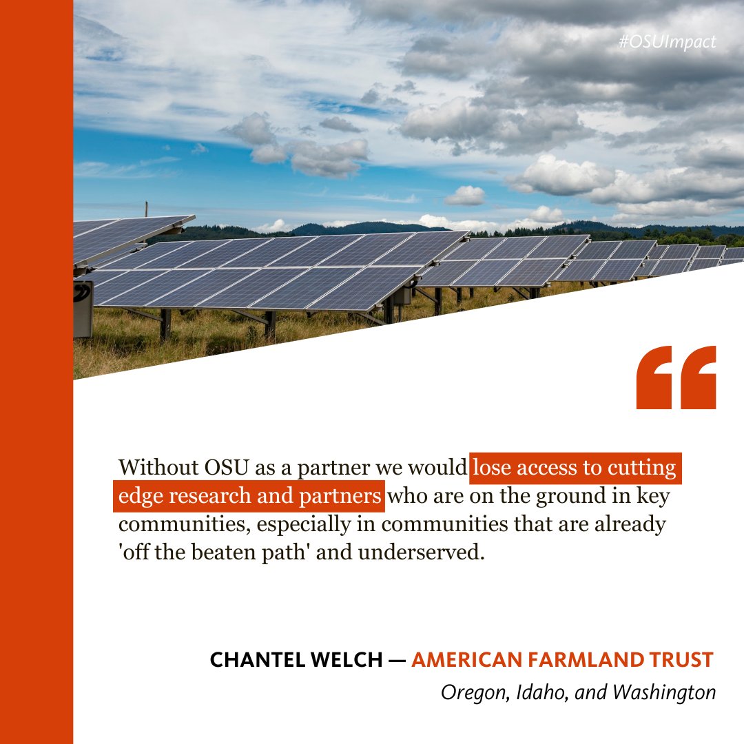 OSUAgSci's tweet image. The OSU Statewide Public Service Programs are a vital partner to many Oregonians and provide important research for organizations like @FarmlandPNW

Would you consider contacting your legislator to support fully funding these key programs? 🙏
thebeavercaucus.org/action-center/…

#OSUImpact