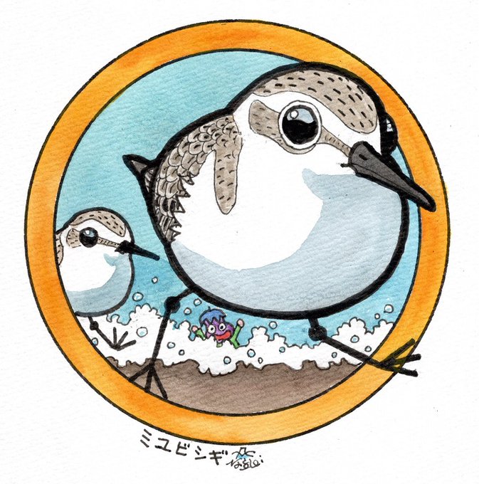 「缶バッジの鳥たち」ミユビシギを描いてみました。 