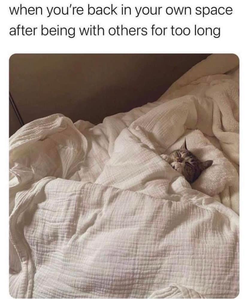WholesomeMeme's tweet photo. https://t.co/Kl5x2KudVA