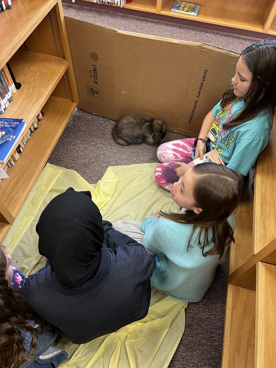 Mrs. Acosta and Mrs. Murphy (@amcoteach5th) on Twitter photo Our <a href="/WSESMustangs/">West Springfield ES</a> loved getting to read with rabbits today π Our <a href="/WSESMustangs/">West Springfield ES</a> loved getting to read with rabbits today π