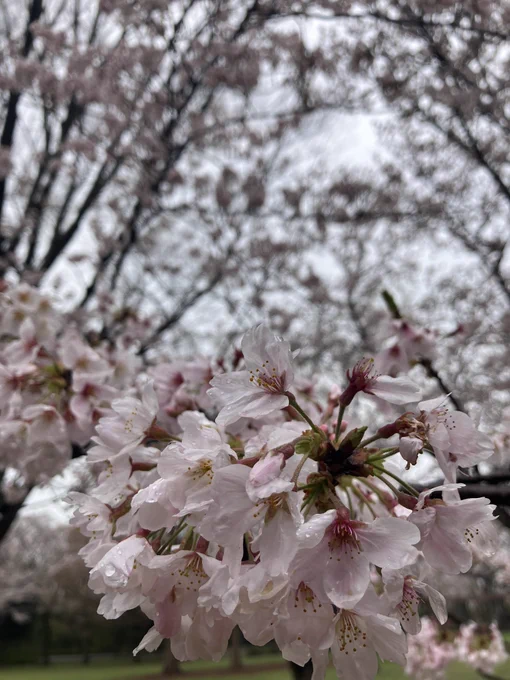 これだけ近くで撮れるのもここの良いところだなぁ 
