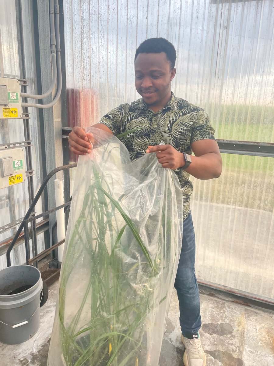 It is a pleasure to welcome <a href="/olamide_olamz/">OLAMIDE RUFUS</a>  to our lab! 
Great people make amazing teams!!! 👊🏽🌿🧬🔬🧪