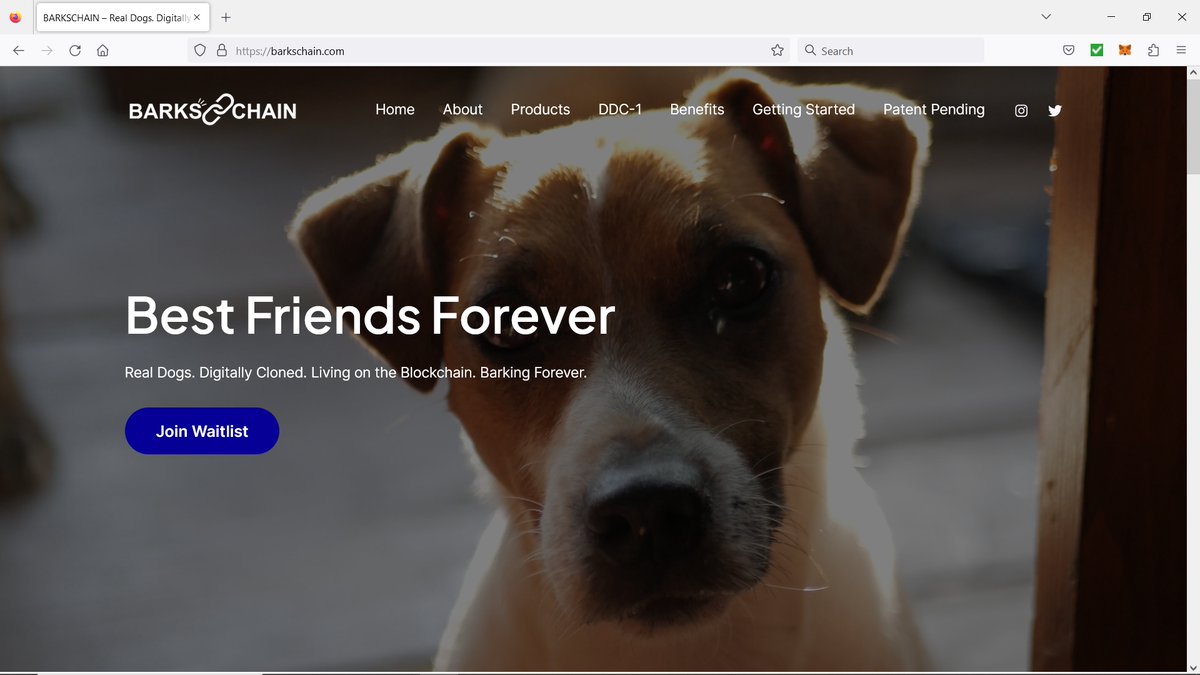 barkschain's tweet photo. Real Dogs. Digitally Cloned. Living on the Blockchain. Barking Forever. 

Digital Dog Clones are coming soon.

https://t.co/g6DnAVDOQe https://t.co/siWV3Ltwkv