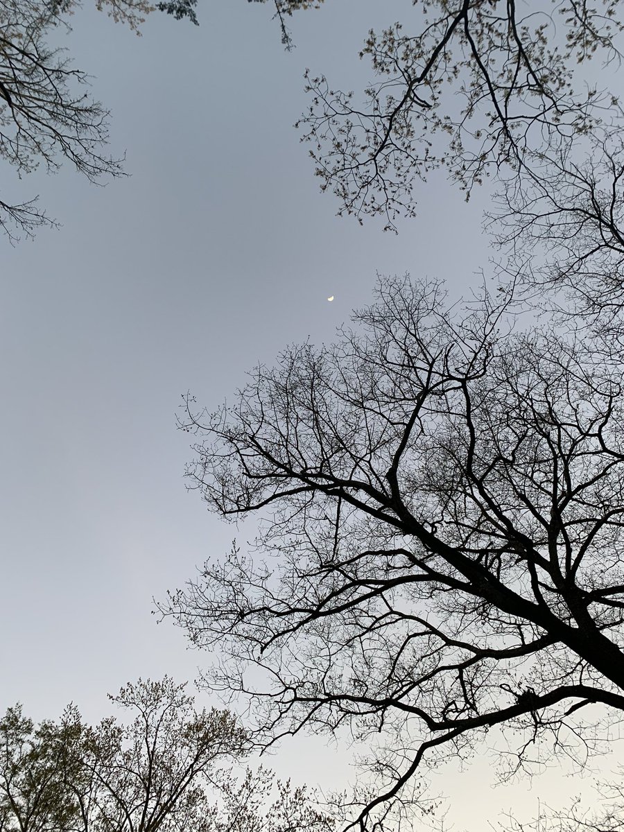 lovemaxxr's tweet photo. something so magical about the scattering of light after the sun sets. twilight seems a suitable name &amp; the beauty is never-ending ⋆˙⊹ ࿐ https://t.co/7GIL6VME6x